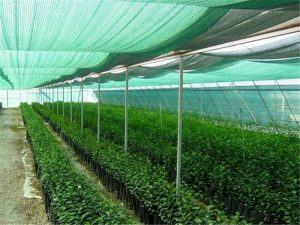 Agro shade cloth05