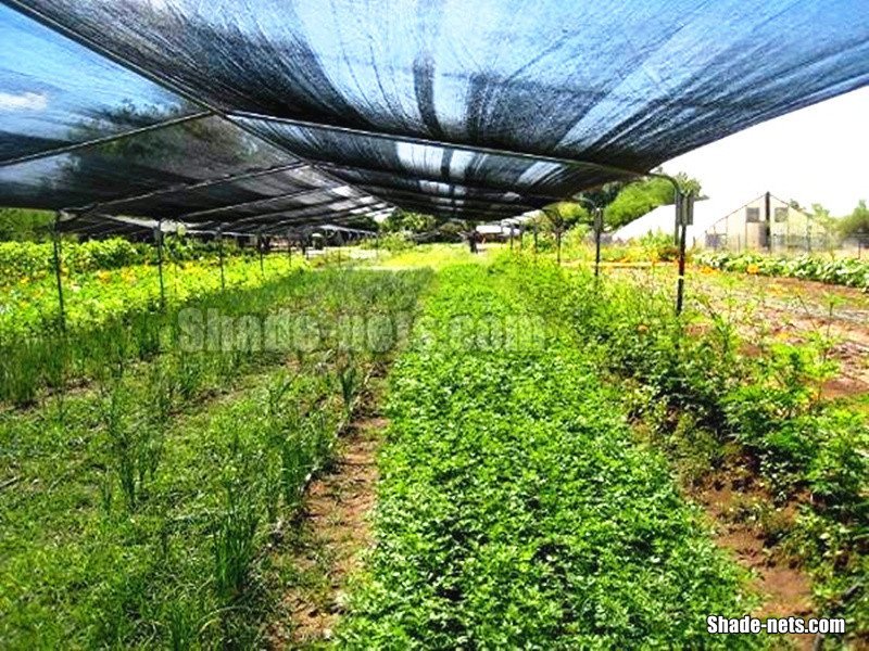 Agro shade cloth07