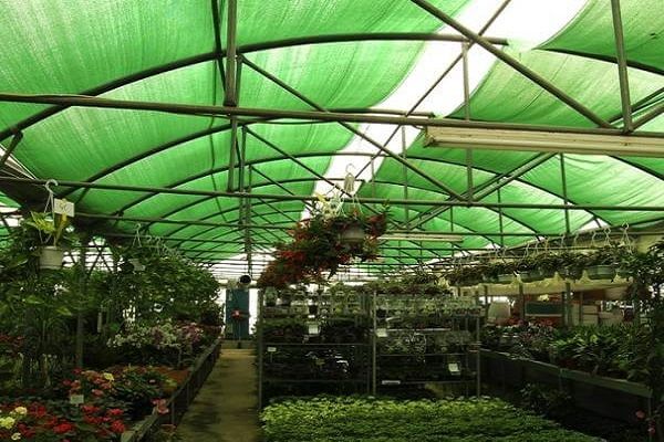 green-shade-netting