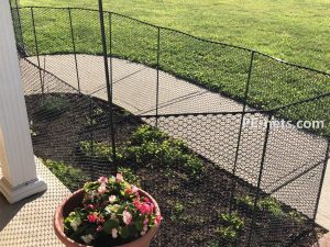 Garden Fence Mesh-8