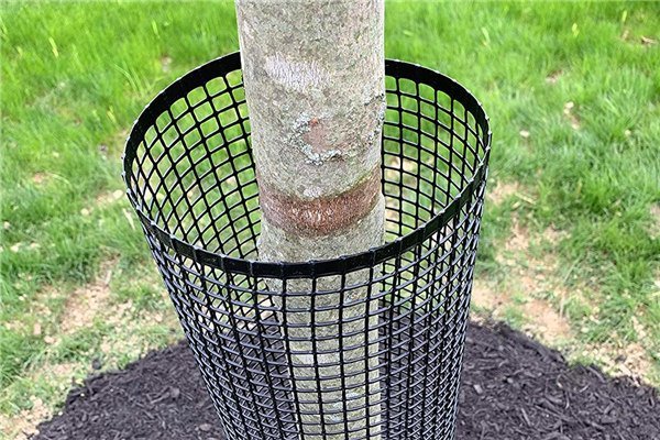 Tree plastic fence mesh