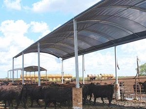 livestock shade cloth (2)