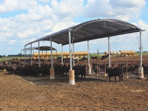 livestock shade cloth (6)