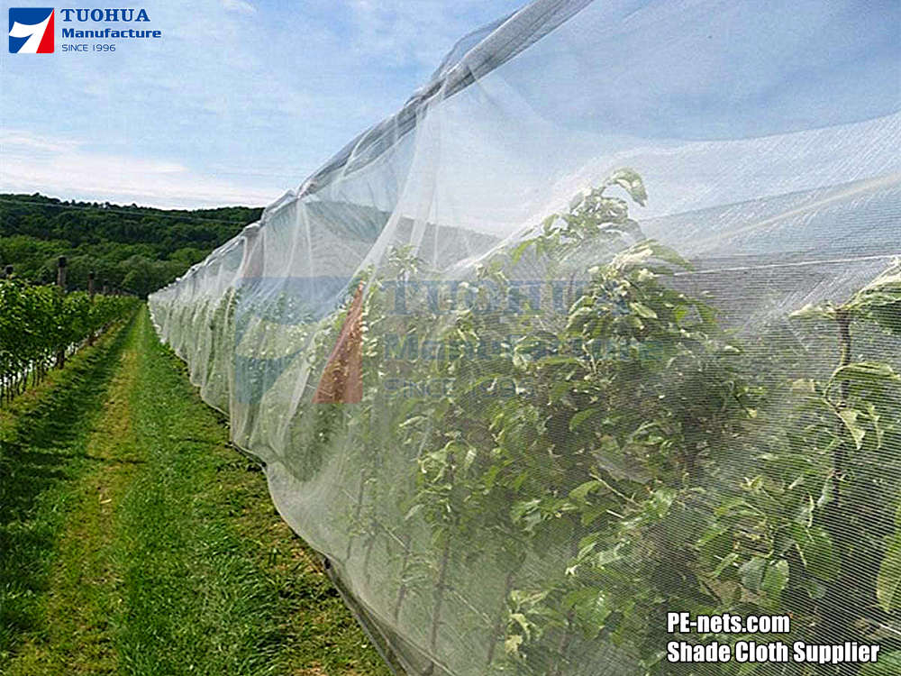 anti insect netting-3