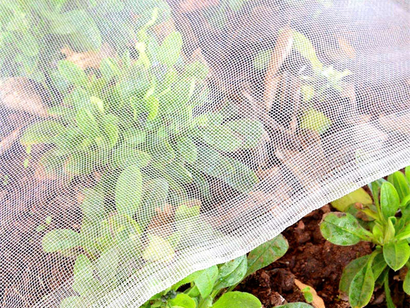 insect netting-1